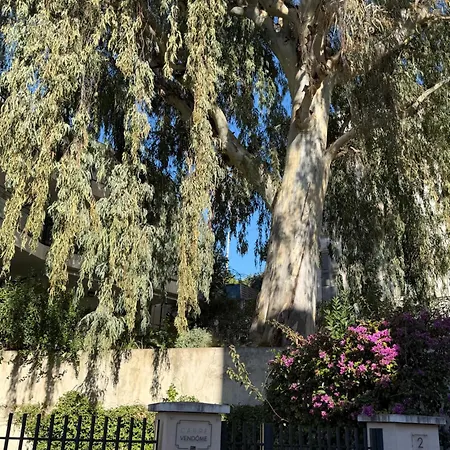 Cannes: Cosy A 2 Pas De La Croisette Apartmán