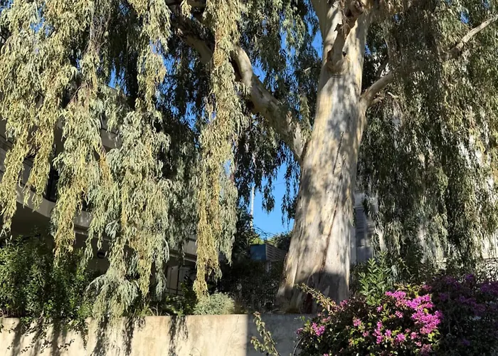 Cannes: Cosy A 2 Pas De La Croisette Apartmán