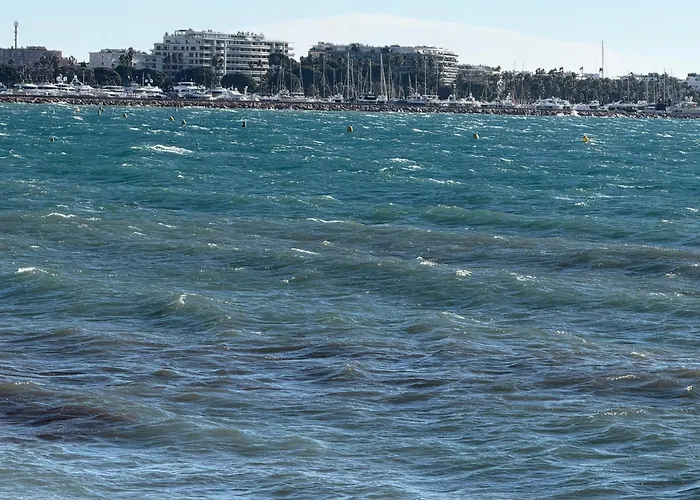 Cannes: Cosy A 2 Pas De La Croisette Apartmán Cannes