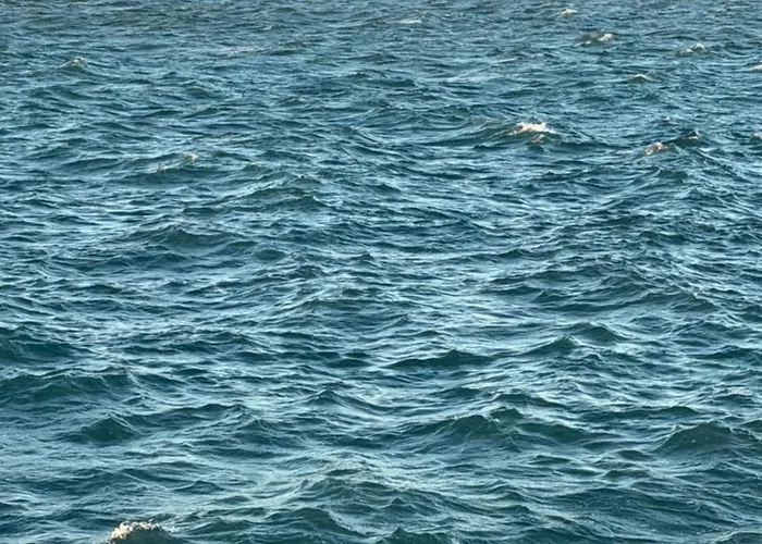 Cannes: Cosy A 2 Pas De La Croisette